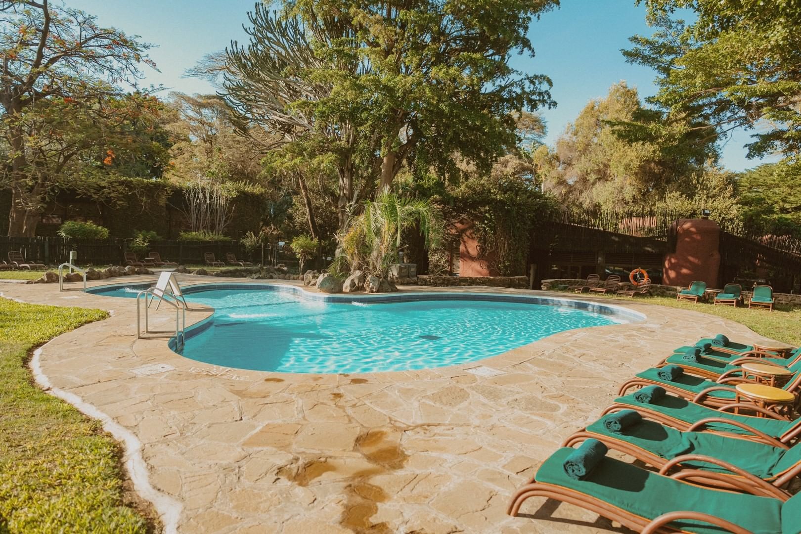 Amboseli Serena Safari Lodge image 3